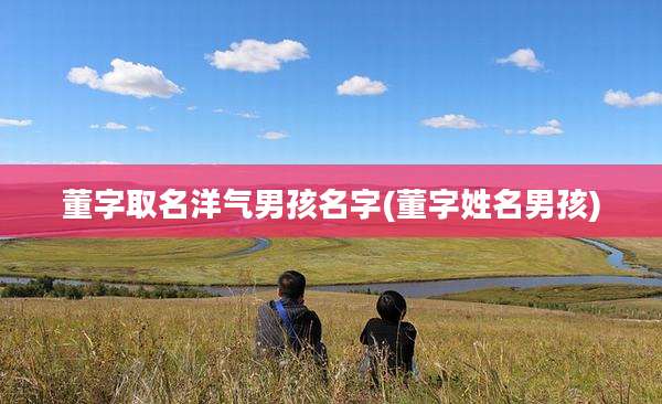 董字取名洋气男孩名字(董字姓名男孩)