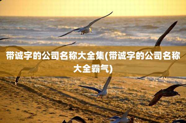 带诚字的公司名称大全集(带诚字的公司名称大全霸气)