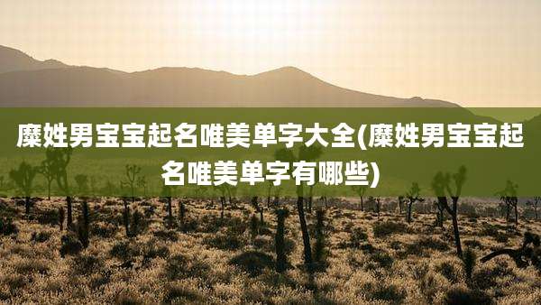 糜姓男宝宝起名唯美单字大全(糜姓男宝宝起名唯美单字有哪些)