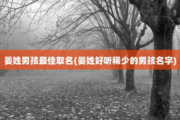 晏姓男孩最佳取名(晏姓好听稀少的男孩名字)