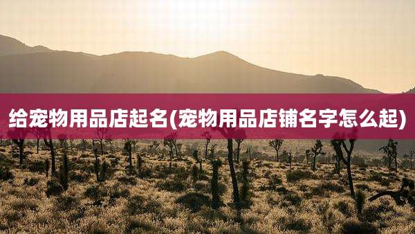 给宠物用品店起名(宠物用品店铺名字怎么起)