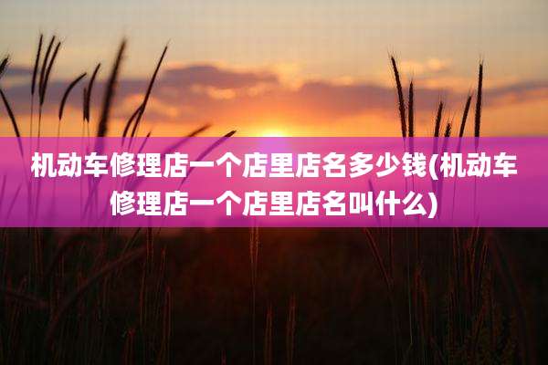 机动车修理店一个店里店名多少钱(机动车修理店一个店里店名叫什么)