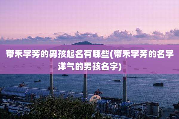 带禾字旁的男孩起名有哪些(带禾字旁的名字洋气的男孩名字)