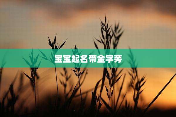 宝宝起名带金字旁