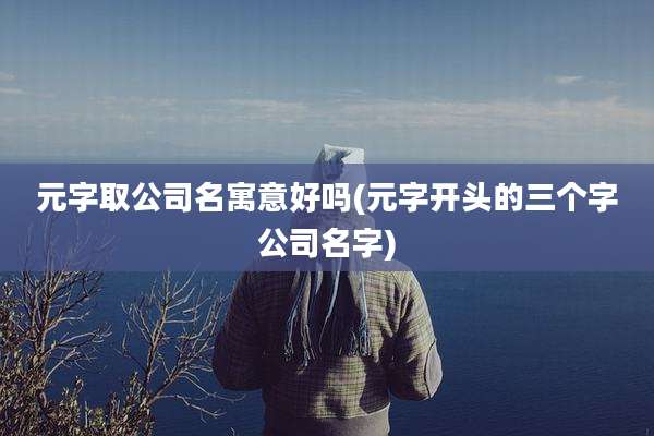 元字取公司名寓意好吗(元字开头的三个字公司名字)