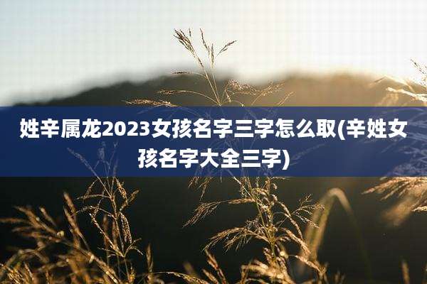 姓辛属龙2023女孩名字三字怎么取(辛姓女孩名字大全三字)