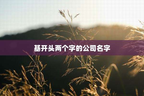 基开头两个字的公司名字