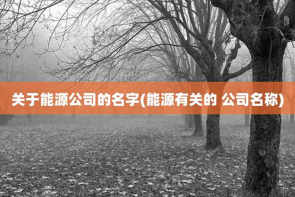关于能源公司的名字(能源有关的 公司名称)