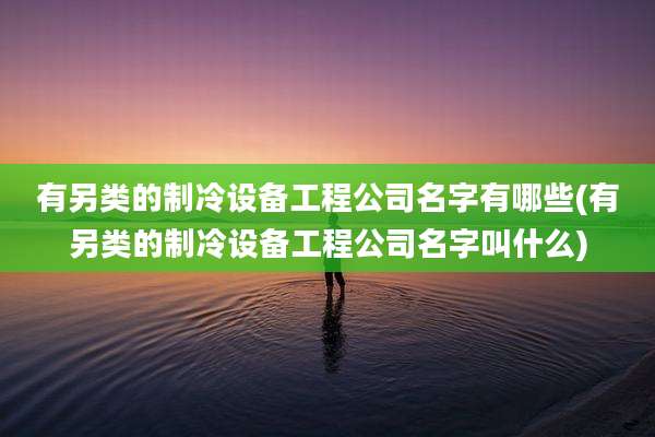 有另类的制冷设备工程公司名字有哪些(有另类的制冷设备工程公司名字叫什么)