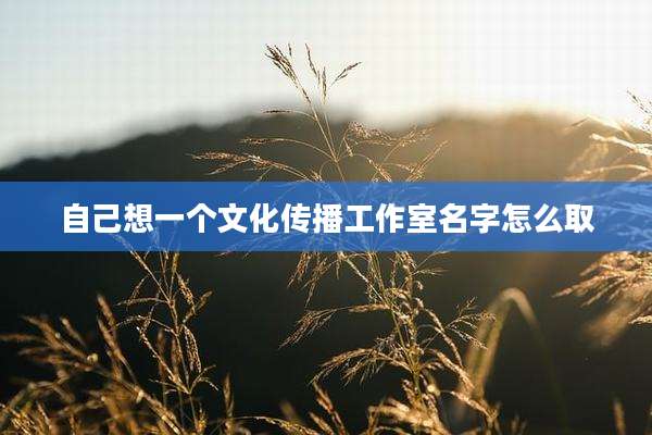 自己想一个文化传播工作室名字怎么取