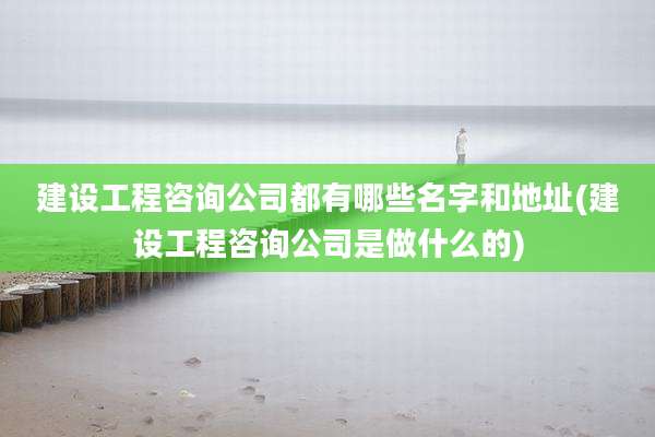 建设工程咨询公司都有哪些名字和地址(建设工程咨询公司是做什么的)