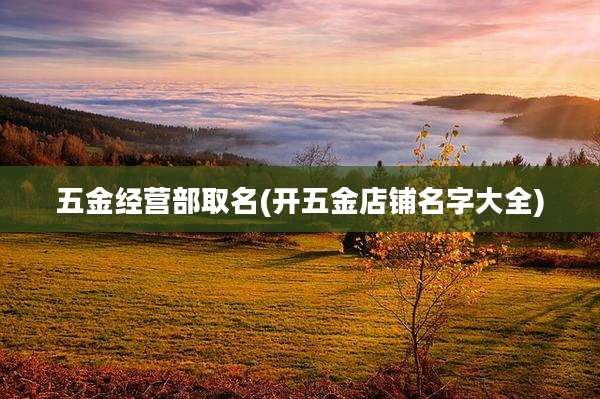 五金经营部取名(开五金店铺名字大全)