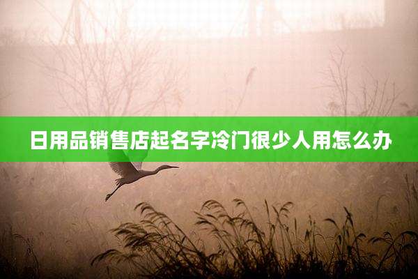 日用品销售店起名字冷门很少人用怎么办