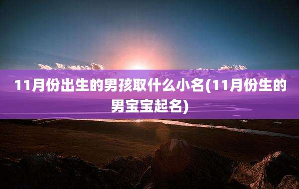 11月份出生的男孩取什么小名(11月份生的男宝宝起名)