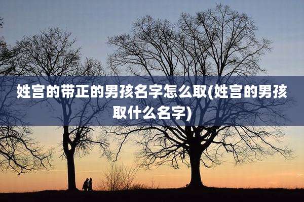 姓宫的带正的男孩名字怎么取(姓宫的男孩取什么名字)