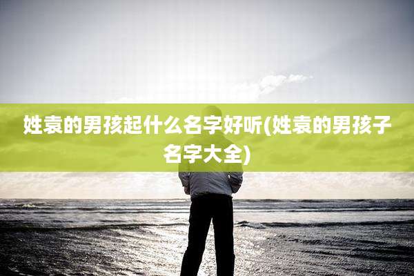 姓袁的男孩起什么名字好听(姓袁的男孩子名字大全)