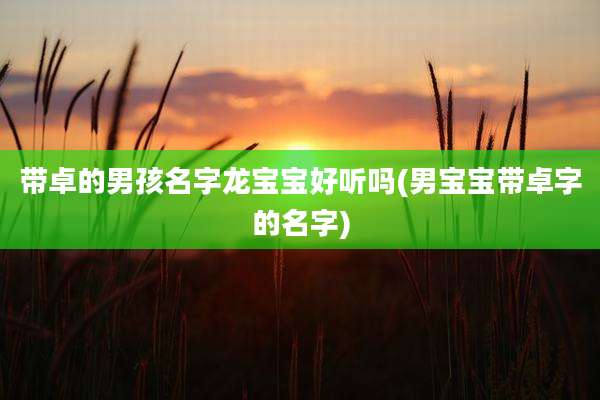 带卓的男孩名字龙宝宝好听吗(男宝宝带卓字的名字)