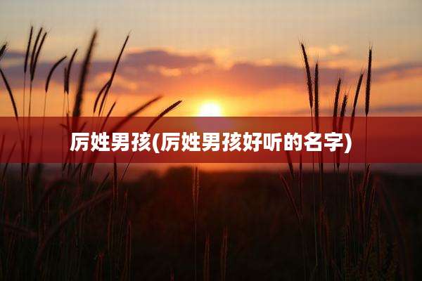 厉姓男孩(厉姓男孩好听的名字)