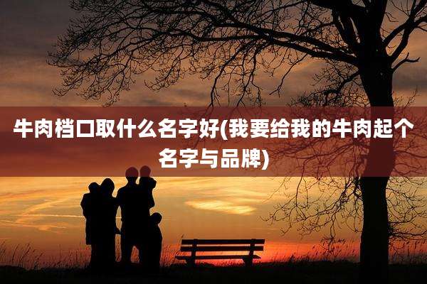 牛肉档口取什么名字好(我要给我的牛肉起个名字与品牌)