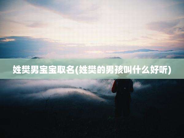 姓樊男宝宝取名(姓樊的男孩叫什么好听)