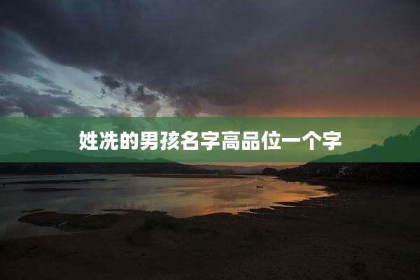 姓冼的男孩名字高品位一个字