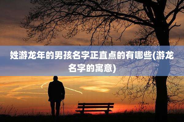 姓游龙年的男孩名字正直点的有哪些(游龙名字的寓意)