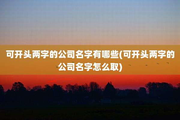 可开头两字的公司名字有哪些(可开头两字的公司名字怎么取)