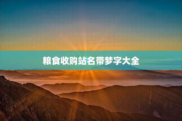 粮食收购站名带梦字大全