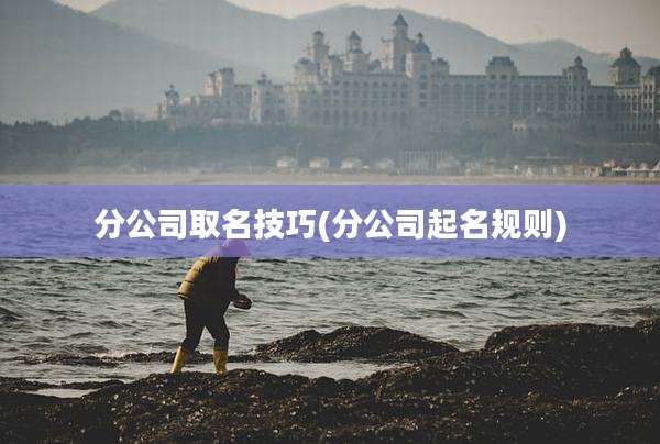 分公司取名技巧(分公司起名规则)