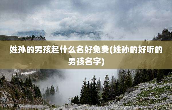 姓孙的男孩起什么名好免费(姓孙的好听的男孩名字)