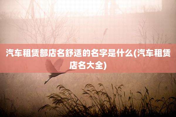 汽车租赁部店名舒适的名字是什么(汽车租赁店名大全)