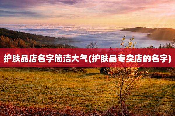 护肤品店名字简洁大气(护肤品专卖店的名字)