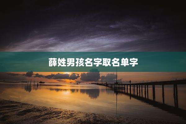 薛姓男孩名字取名单字