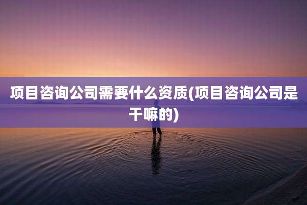 项目咨询公司需要什么资质(项目咨询公司是干嘛的)