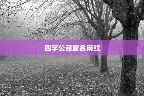 四字公司取名网红