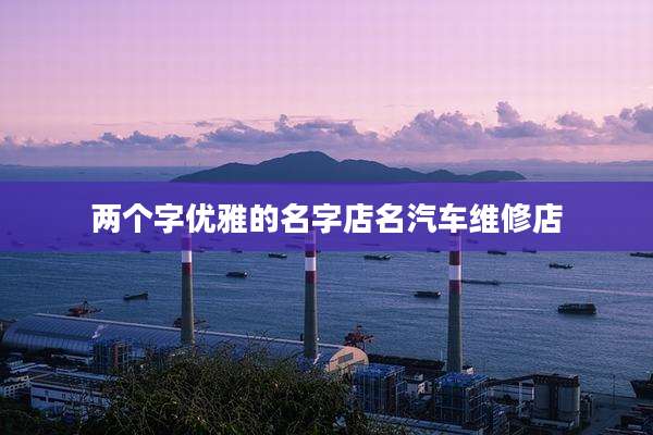 两个字优雅的名字店名汽车维修店