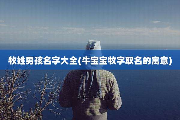 牧姓男孩名字大全(牛宝宝牧字取名的寓意)