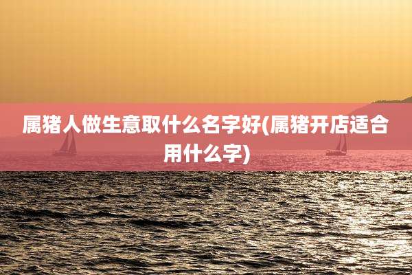 属猪人做生意取什么名字好(属猪开店适合用什么字)