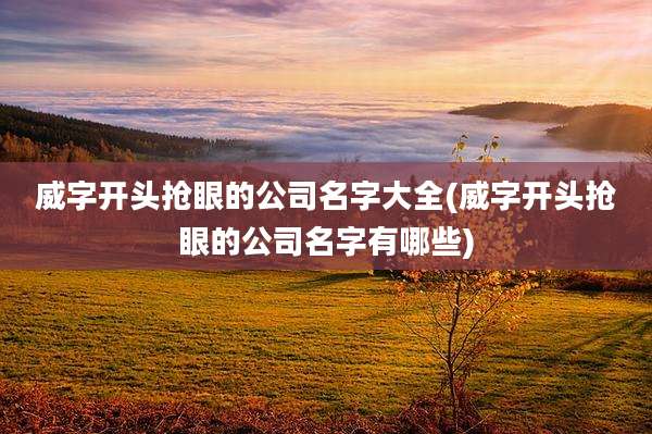 威字开头抢眼的公司名字大全(威字开头抢眼的公司名字有哪些)