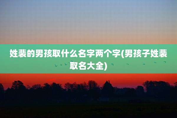 姓裴的男孩取什么名字两个字(男孩子姓裴取名大全)