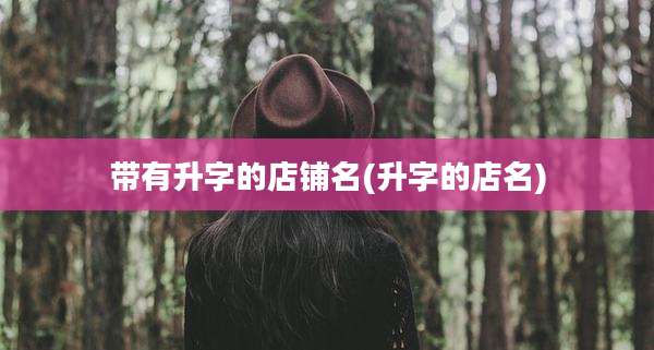 带有升字的店铺名(升字的店名)
