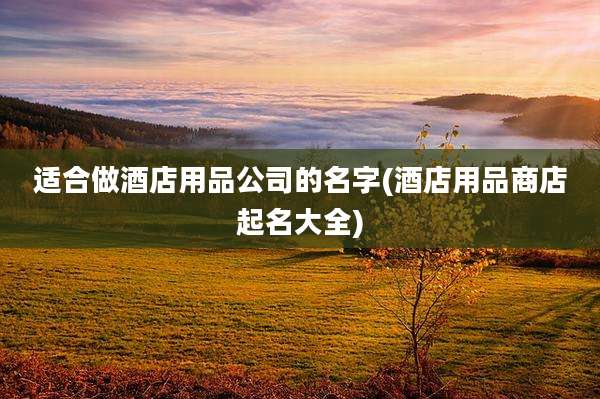 适合做酒店用品公司的名字(酒店用品商店起名大全)