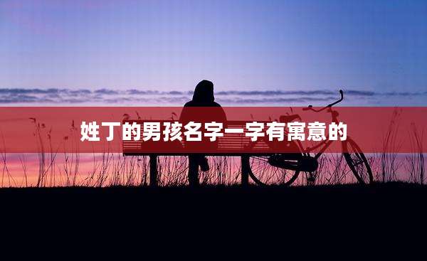 姓丁的男孩名字一字有寓意的