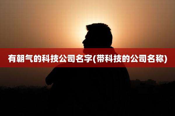 有朝气的科技公司名字(带科技的公司名称)