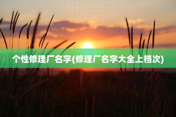 个性修理厂名字(修理厂名字大全上档次)