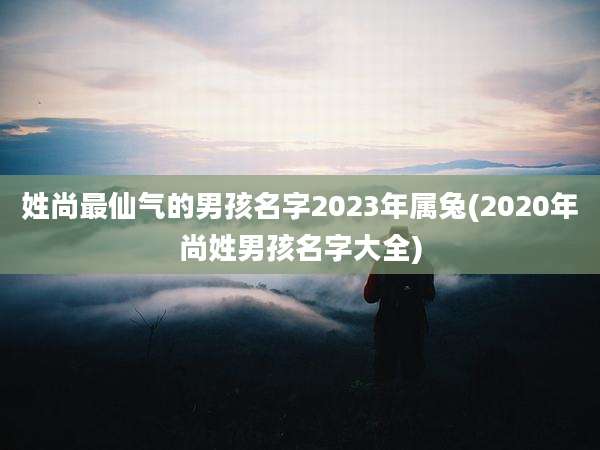 姓尚最仙气的男孩名字2023年属兔(2020年尚姓男孩名字大全)