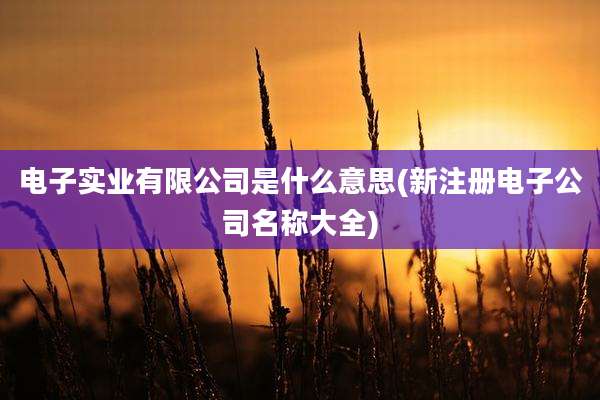 电子实业有限公司是什么意思(新注册电子公司名称大全)