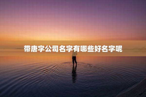 带唐字公司名字有哪些好名字呢
