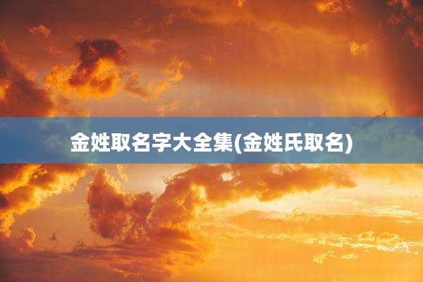 金姓取名字大全集(金姓氏取名)