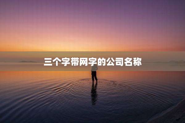 三个字带网字的公司名称